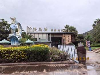 抚仙湖樱花谷