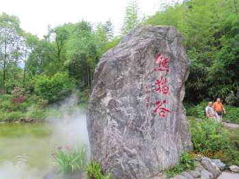 都江堰熊猫谷