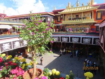 大昭寺