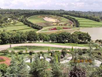 弥勒太平湖森林公园