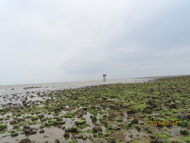 16徐闻南极村.JPG