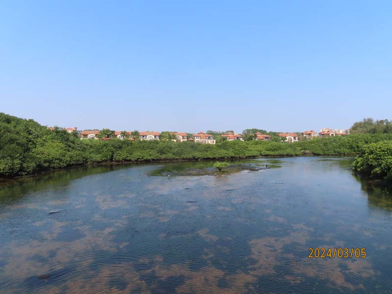 05富力红树林.JPG
