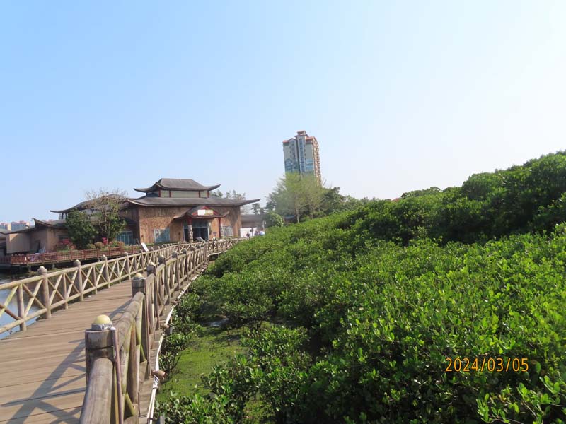 06富力红树林.JPG