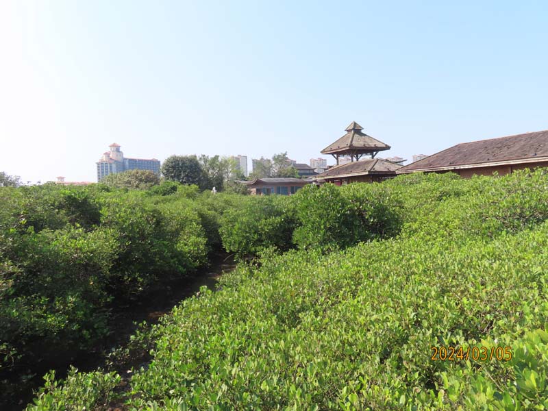 18富力红树林.JPG