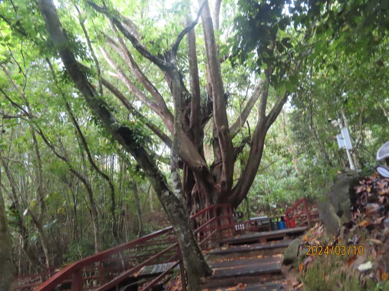 05五指山热带雨淋.JPG