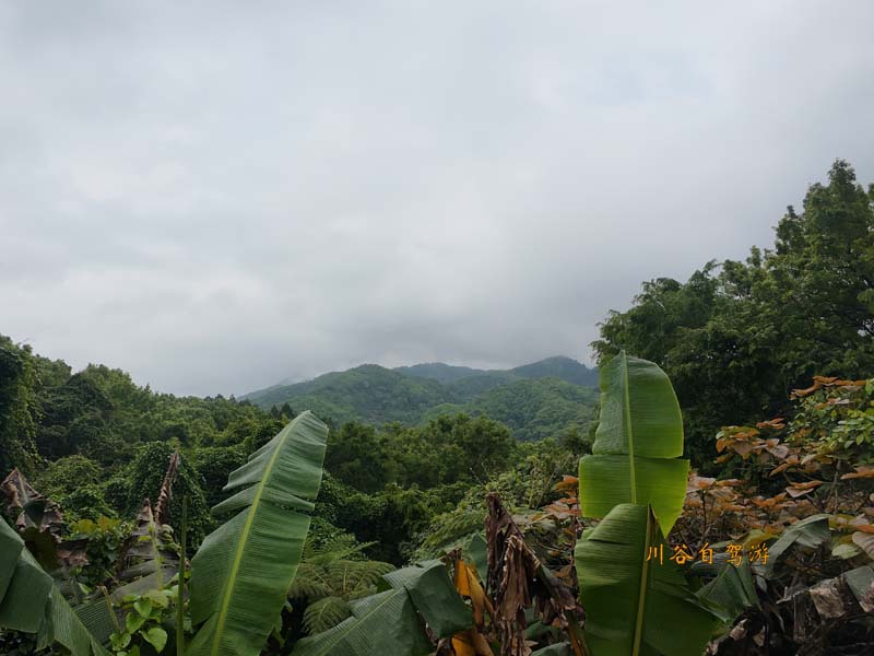 20五指山热带雨淋.JPG