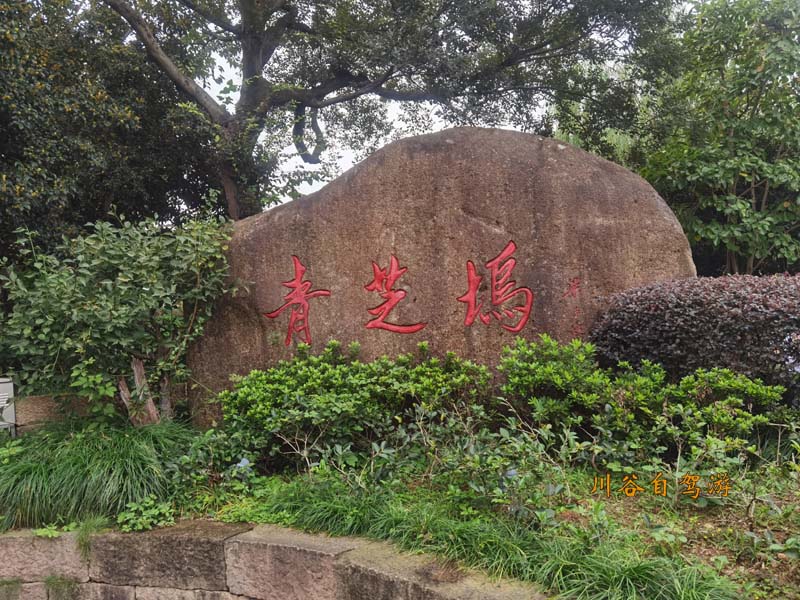 00杭州青芝坞.jpg