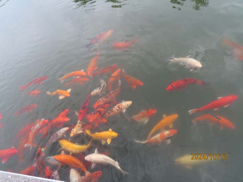 07杭州青芝坞.JPG