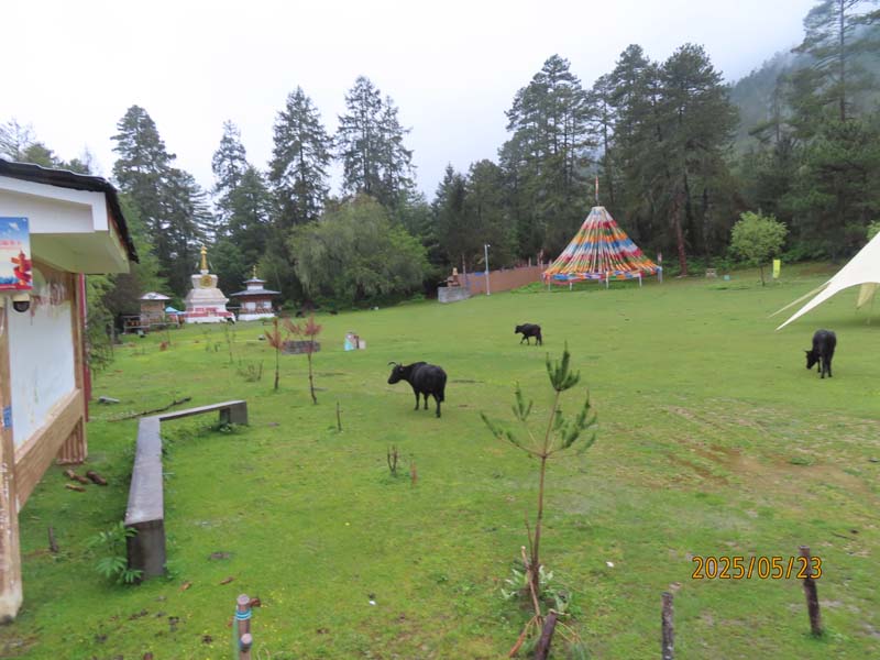 12嘎朗村.JPG