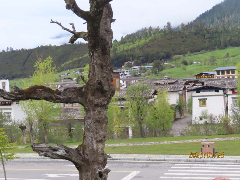 10鲁朗小镇上集.JPG