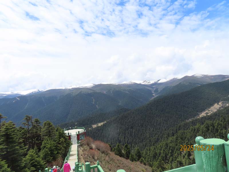 11鲁朗林海.JPG