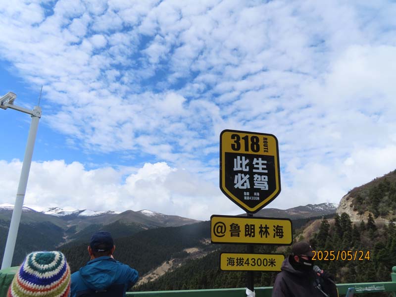 16鲁朗林海.JPG