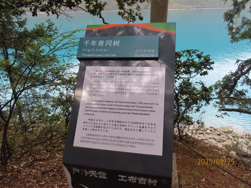 11巴松措湖心岛.JPG