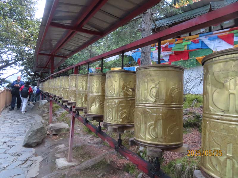 20巴松措湖心岛.JPG
