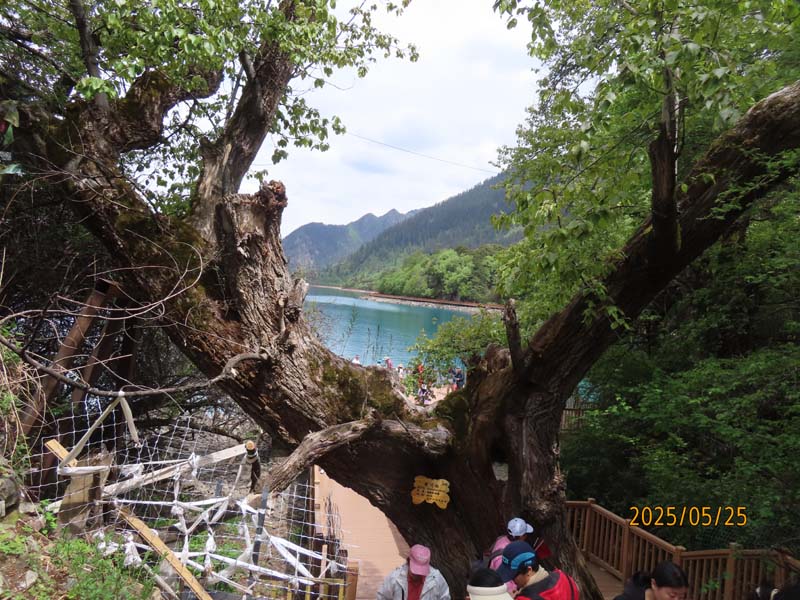 19巴松措湖心岛.JPG