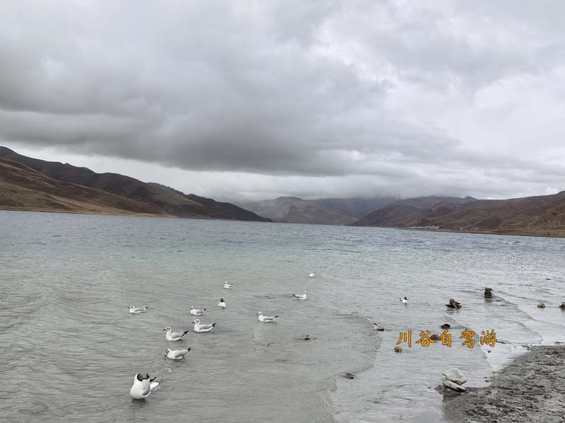 15羊卓雍措.jpg