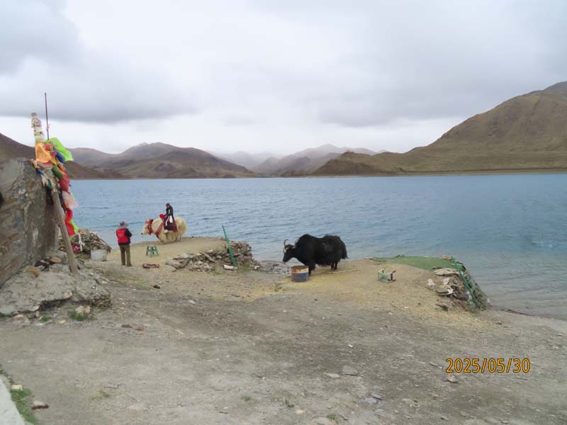 07羊卓雍措.JPG