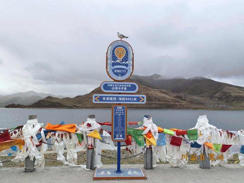 22羊卓雍措.jpg