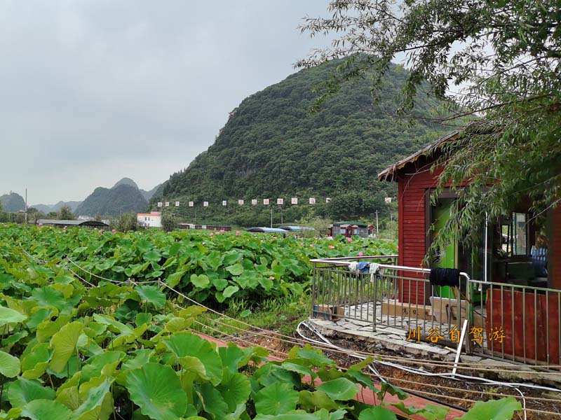 安顺十里荷廊06.jpg